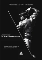 متال پوستر طرح آرنولد کد L1480