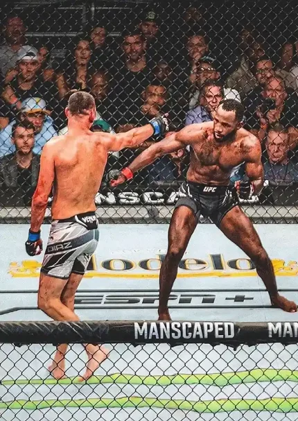 متال پوستر طرح UFC کد L1707